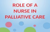 Role of a nurse in palliative care