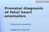 Fetal Ecocardiography Screening