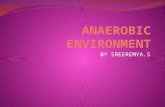 Anaerobic environment