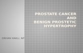 Bph and prostate cancer