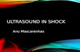 Ultrasound in Shock