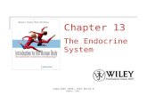 Lecture 1 the endocrine system