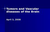 Tumors and Vascular diseases of the Brain.ppt