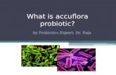What is Accuflora Probiotics