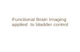 Glup montecchio functional brain imaging  applied  to bladder control_vignoli