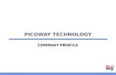 Picoway Company Profile 1.5