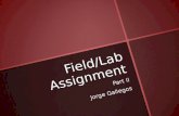 Field/Lab Assignment Part 2
