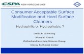 New Horizons Conference Consumer Specialty Products Association 2008 - Scheuing