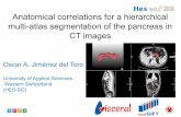 Anatomical correlations for a hierarchical multi-atlas segmentation of the pancreas in CT images