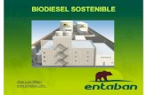 Biodiesel  Sostenible