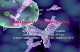 antibody engineering and xenotransplantation