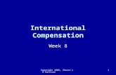IntHR_(8b) Compensation (1)