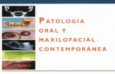 Sapp Philip - Patologia Oral y Maxi Lo Facial Contemporanea