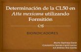 Determinación de la CL50 en Atta Mexicana utilizando
