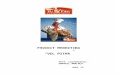 Proiect Marketing - Vel Pitar