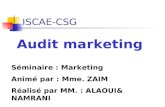 Audit marketing