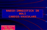 Radio-imagistica AP . C-Vascular