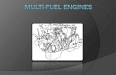 Multi-Fuel Engines