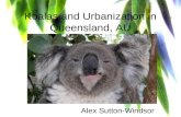 Koalas and Urbanization in Queensland