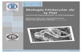Biología Molecular de la Piel - Ramiro Esteban Lorente