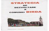 Strategia de Dezvoltare a Comunei Birda