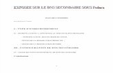 Configuration Du DNS Secondaire sous FEDORA en français