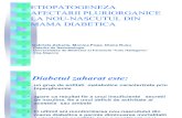 Etiopatogeneza Afectarii Pluriorganice La Nn Din Mama Diabetica