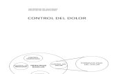 Control Del Dolor (2) - Copia