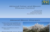 Control of various Almond Bloom, Spring, and Summer Foliar Diseases