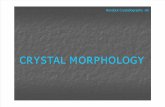Ch 06 Crystal Morphology