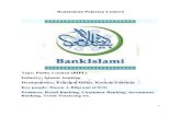 Brand Management (BRAND AUDIT) BankIslami
