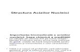 Structura Acizilor Nucleici
