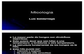 24276689 Atlas Micologia