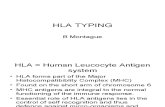 Hla Typing