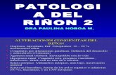 PATOLOGIA DEL RIÑON clase 4