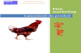 Projet Plan Marketing Rapport Djaj Beldi
