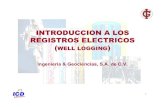 3 - Introduccion Registros Electricos