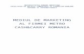 Mediul de Marketing Al Firmei Metro Cash&Carry Romania