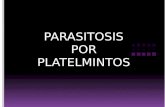 Parasitosis Por Platelmintos