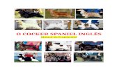 O COCKER SPANIEL INGLÊS - Manual do Proprietário