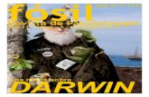 Los mitos sobre Darwin (Revista Fósil)