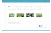 The Potential of Medicinal Plant Cultivation as an Endogenous Development Strategy-AR Munteanu- ERM Thesis