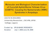 Molecular and biological characterization of Cucurbit Aphid-Borne Yellows Virus (CABYV) causing the Namamarako (NMK) syndrome in Ampalaya