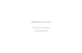 Jorje Luis Arocha, Universidad Nacional Autonoma de Mexico - Algebra Lineal - Original - Pag 220