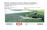 USACE BOR Risk for Dams- Guidance Document Piping_Toolbox_Report_Delta 31 July 2008.pdf