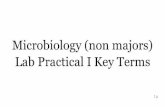 Microbiology (non majors) Lab Practical 1 Key Terms FLASH CARDS