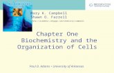 Chapter 1 Biochemistry and the Organization in Cells