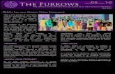 The Furrows