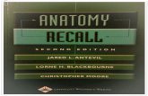 Anatomy Recall-Q and A