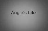Angie's Life